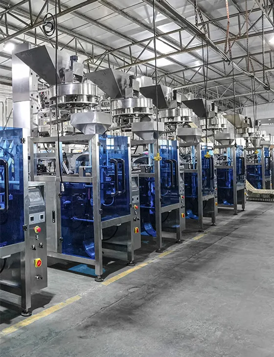 Vertical packaging equipment workshop